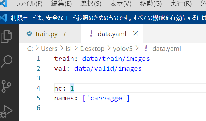  YOLOv5 Label Class 1 Exceeds Nc 1 In Data yaml Possible 
