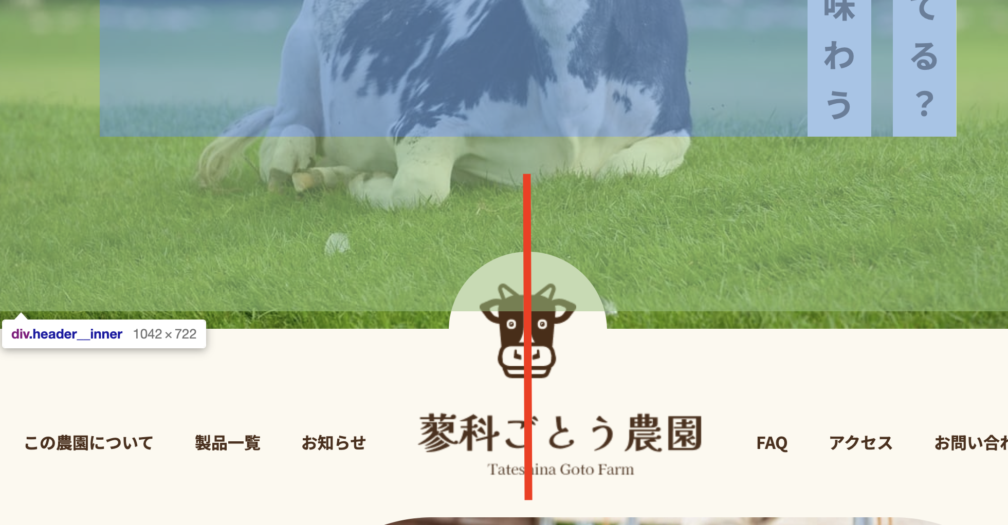 イメージ説明